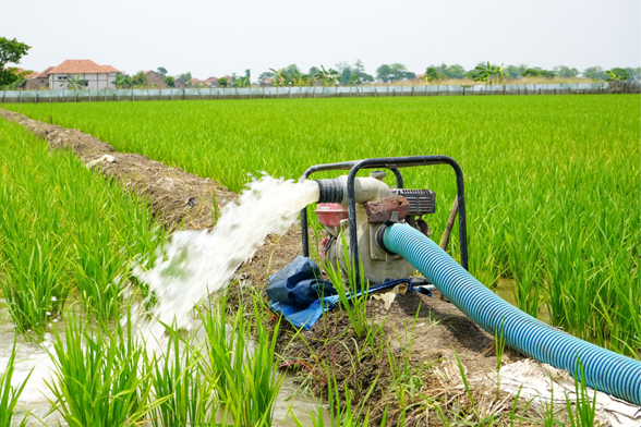 service-irrigation-img